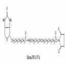 生物素-PEG-琥珀酰亞胺戊酸酯 Biotin-PEG-SVA