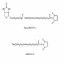 生物素-PEG-琥珀酰亞胺戊酸酯和聚乙二醇-琥珀酰亞胺戊酸酯套裝