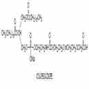 乙酸-PEG-二硬脂酰基磷脂酰乙醇胺 Carboxymethyl-PEG-DSPE