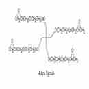 四臂-PEG-環氧乙烷 4arm-PEG-Epoxide