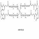 四臂聚乙二醇SAS酯 4 arm PEG-Succinimidyl Amido Succinate