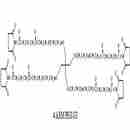 四臂聚乙二醇SG酯 4 arm PEG-Succinimidyl Glutarate