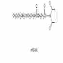 甲氧基聚乙二醇SAS酯 mPEG-Succinimidyl Amido Succinate