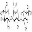 Lacto-N-Triaose / LNT2