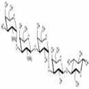 異福斯曼抗原五糖