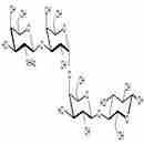 Gb4糖