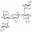 二巖藻糖五糖