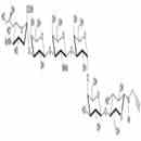 SSEA-4六糖-β-N-乙酰基-丙炔