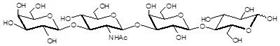 Lacto-N-tetraose / LNT