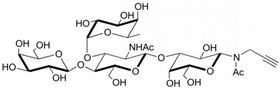 Lewis X抗原四糖-N-乙酰基-丙炔