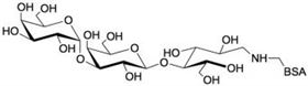 異球抗原三糖-BSA / 3'-半乳糖乳糖-BSA / 線性B-6三糖-BSA