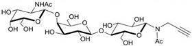 aGM2神經節苷脂類糖-N-乙-酰丙炔