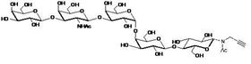 Gb5-N-Acetyl-Propargyl Globopentaose-N-Acetyl-Propargyl