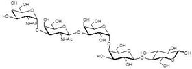 福斯曼抗原五糖 Forssman antigen pentaose