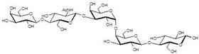 Gb五糖類似物2型 Globopentaose analogue type 2 / Gb5 analogue type 2