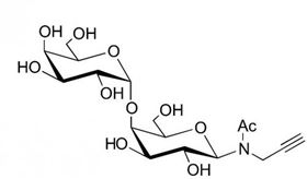 α1-4 半乳二糖-N-乙酰丙炔,α1-4 galactobiose-N acetyl-Propargyl