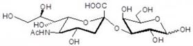 3-唾液酸半乳糖,3-Sialylgalactose