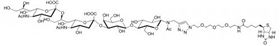 GD3神經節苷脂類糖-β-N-乙酰–空間構型3-生物素 (銨鹽),GD3-β-N-Acetyl–spacer3-Biotin (ammonium salt)