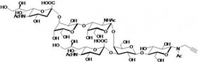 GD1a神經節苷脂類糖-β-N-乙酰基-丙炔,GD1a Ganglioside sugar-β-NAc-Propargyl