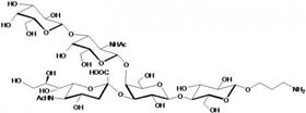 GM1a神經(jīng)節(jié)苷脂類糖-β-氨丙基,GM1a Ganglioside sugar-β-Aminopropyl