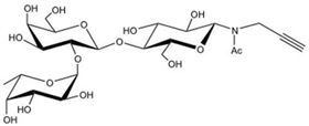 2' 巖藻糖乳糖-N-乙酰基-丙炔,2' Fucosyllactose-β-NAc-Propargyl