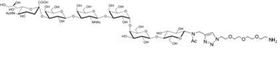 Lewis y抗原五糖-β-N-乙酰基-空間構型3-生物素,Lewis<sup>y</sup> pentaose-β-N-Acetyl-spacer3-Biotin