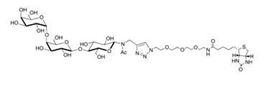 Lewis y抗原五糖-β-N-乙酰基-空間構(gòu)型3-生物素,Lewis<sup>y</sup> pentaose-β-N-Acetyl-spacer3-Biotin