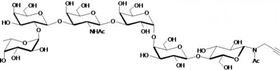 Globo-H六糖-β-N-乙酰基-丙炔,Globo-H Hexaose-β-N-Acetyl-Propargyl (SSEA-3b)