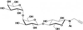 Globo三糖-β-N-乙酰基-丙炔,Globotriaose-β-NAc-Propargyl (Gb3/ P<sup>k</sup> antigen)