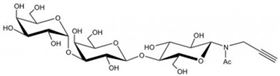 Isoglobo三糖-β-N(乙?；?-丙炔,Isoglobotriaose-β-N(Acetyl)-Propargyl