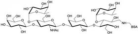 Lewis a六糖-BSA , Lewisa (Lea) hexaose linked to BSA/ Lacto-N-difucohexaose II - BSA/ LNDFH II - BSA