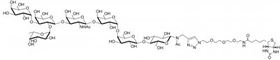 Globo-B七糖-N-乙酰基-空間構(gòu)型3-生物素 , Globo-B heptaose-N acetyl-spacer 3-Biotin