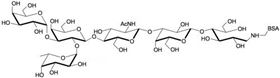 B血型抗原六糖2型-BSA , Blood group B antigen hexaose type 2 linked to BSA