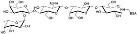 H血型抗原五糖2型-BSA , Blood group H antigen pentaose type 2 linked to BSA / Lacto-N-neofucopentaose I - BSA / LnNFP I - BSA