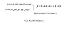 四臂-PEG-丙醛 4arm-PEG-pALD