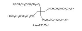 4 arm mPEG-Thiol