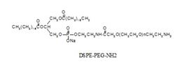 DSPE-PEG-NH2