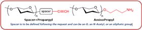 Spacer is to be defined following the request and can be an O, an N-Acetyl, / an aliphatic group