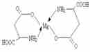 L-天冬氨酸螯合鎂