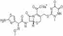頭孢曲松鈉