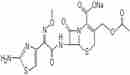 頭孢噻肟鈉