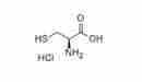 L-半胱氨酸鹽酸鹽(無水物)