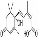 脫落酸 Abscisic acid