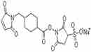 硫代琥珀酰亞胺基4-[N-馬來酰亞胺甲基]環己烷-1-羧化物