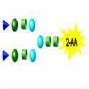 2-AA標記N-多糖 2-AA Labeled N-Glycans