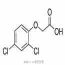2,4-二氯苯氧基乙酸 2,4-D