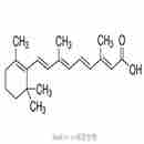 視黃酸 Retinoic acid