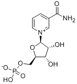 煙酰胺單核苷酸（NMN）