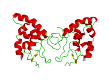 Science：重大突破！開發(fā)出<font color='red'>化學(xué)選擇性蛋氨酸生物偶聯(lián)</font>