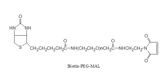 生物素-PEG-馬來酰亞胺 Biotin-PEG-Maleimide